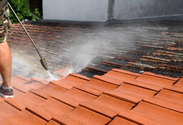 Best Concrete Pressure Washing  in Gaylord, MN