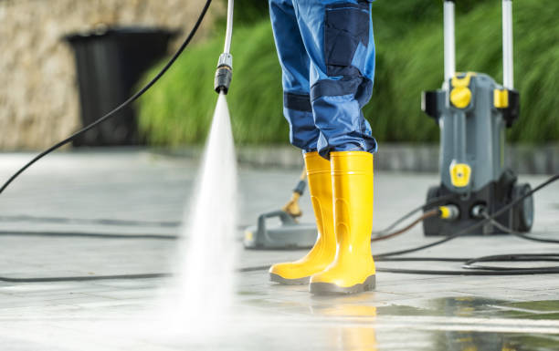 Best Power Washing Near Me  in Gaylord, MN