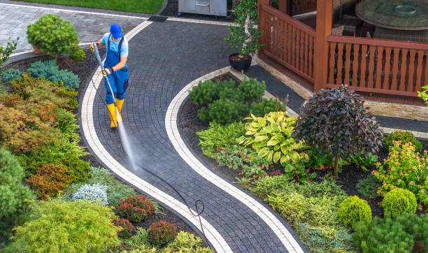 Best Pressure Washing Siding  in Gaylord, MN